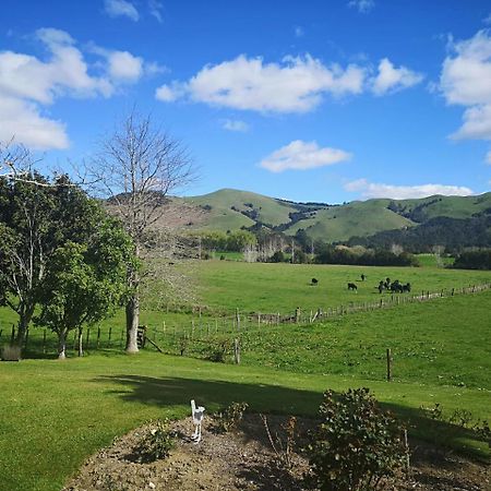 Paeroa Pukeko Lodge Kültér fotó