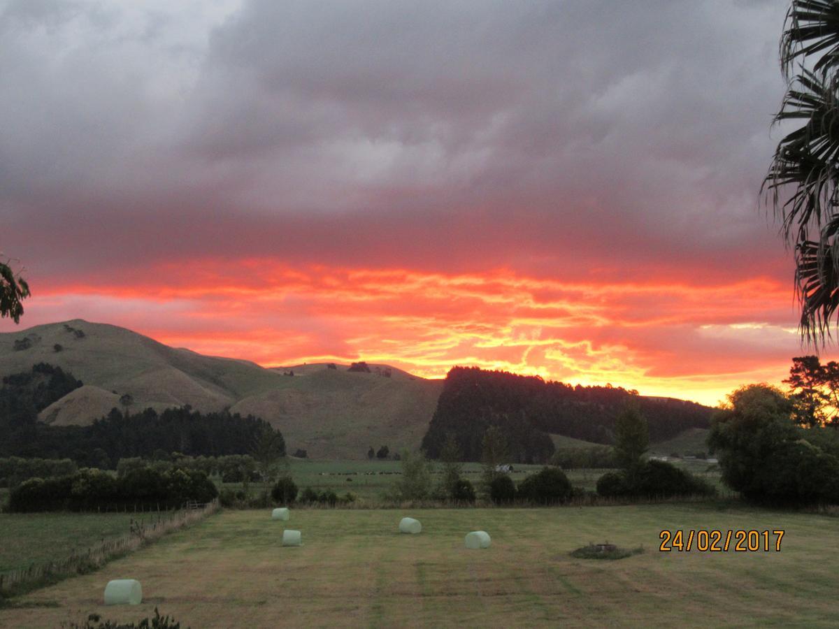 Paeroa Pukeko Lodge Kültér fotó