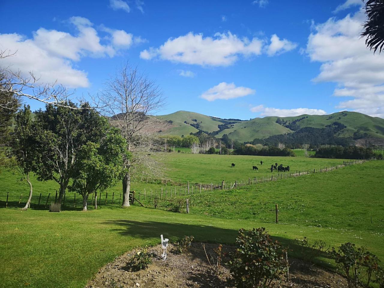 Paeroa Pukeko Lodge Kültér fotó