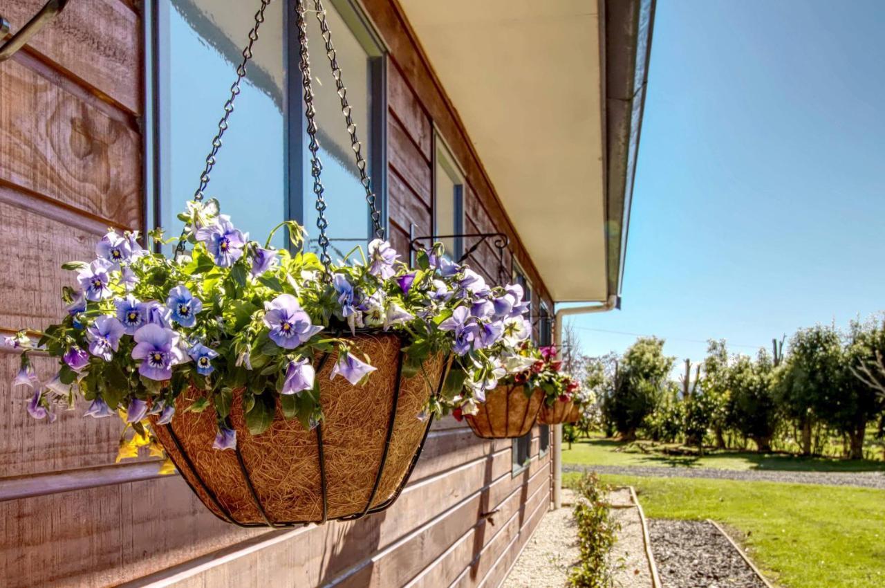 Paeroa Pukeko Lodge Kültér fotó